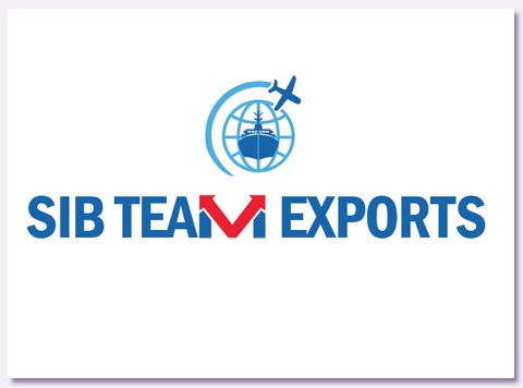 SIB Team Export